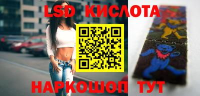 винт Кимры