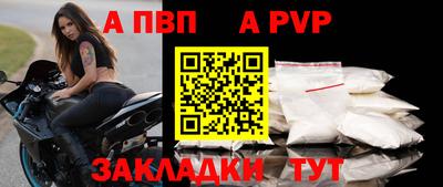 эйфоретик Кингисепп