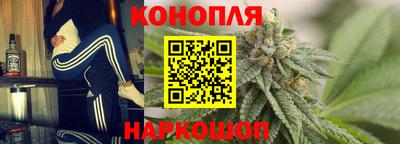 эйфоретик Кингисепп