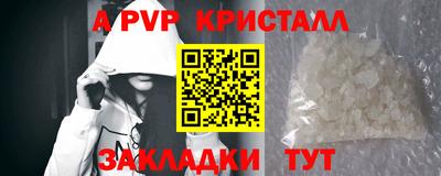эйфоретик Кингисепп