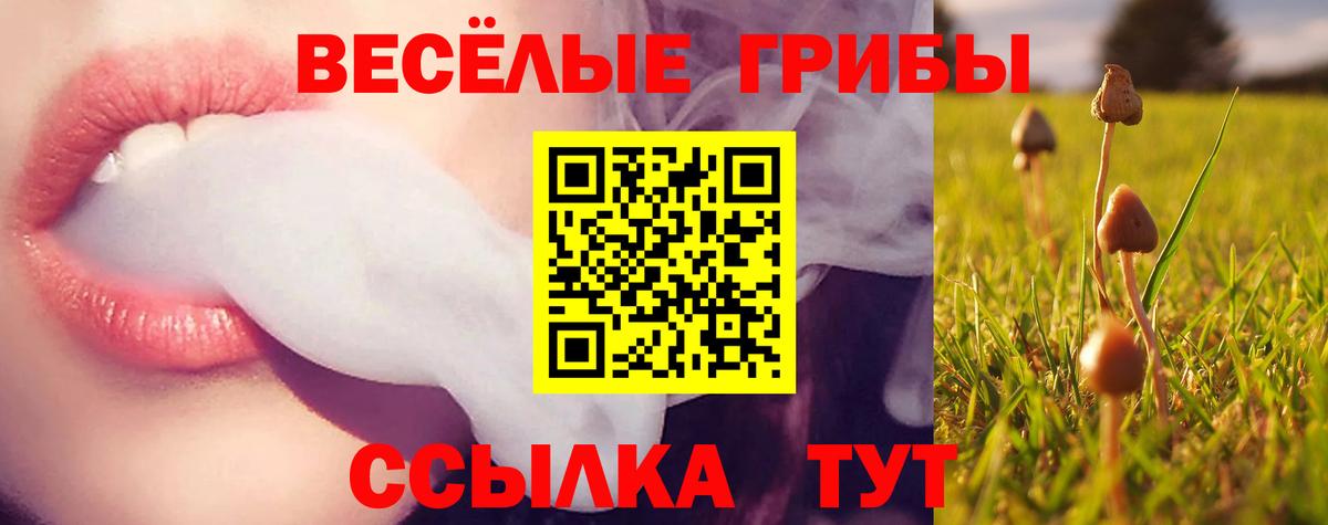 Куйбышев  ГАШИШ  A-PVP СОЛЬ кристаллы  Вход с VPN  ГАШИШ  Канабис  Меф МЯУ МЯУ кристаллы  Cocaine 