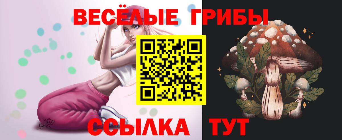 Куйбышев  Псилоцибиновые грибы Magic Shrooms  Вход с VPN 